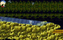 Manic goes on a water slide